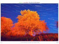 chene_azerat_nuit_2021_300x400_fond_blanc_sans_texte-2
