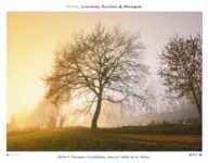 chene_bord_vezere_terrasson_fond_blanc_sans_texte-2